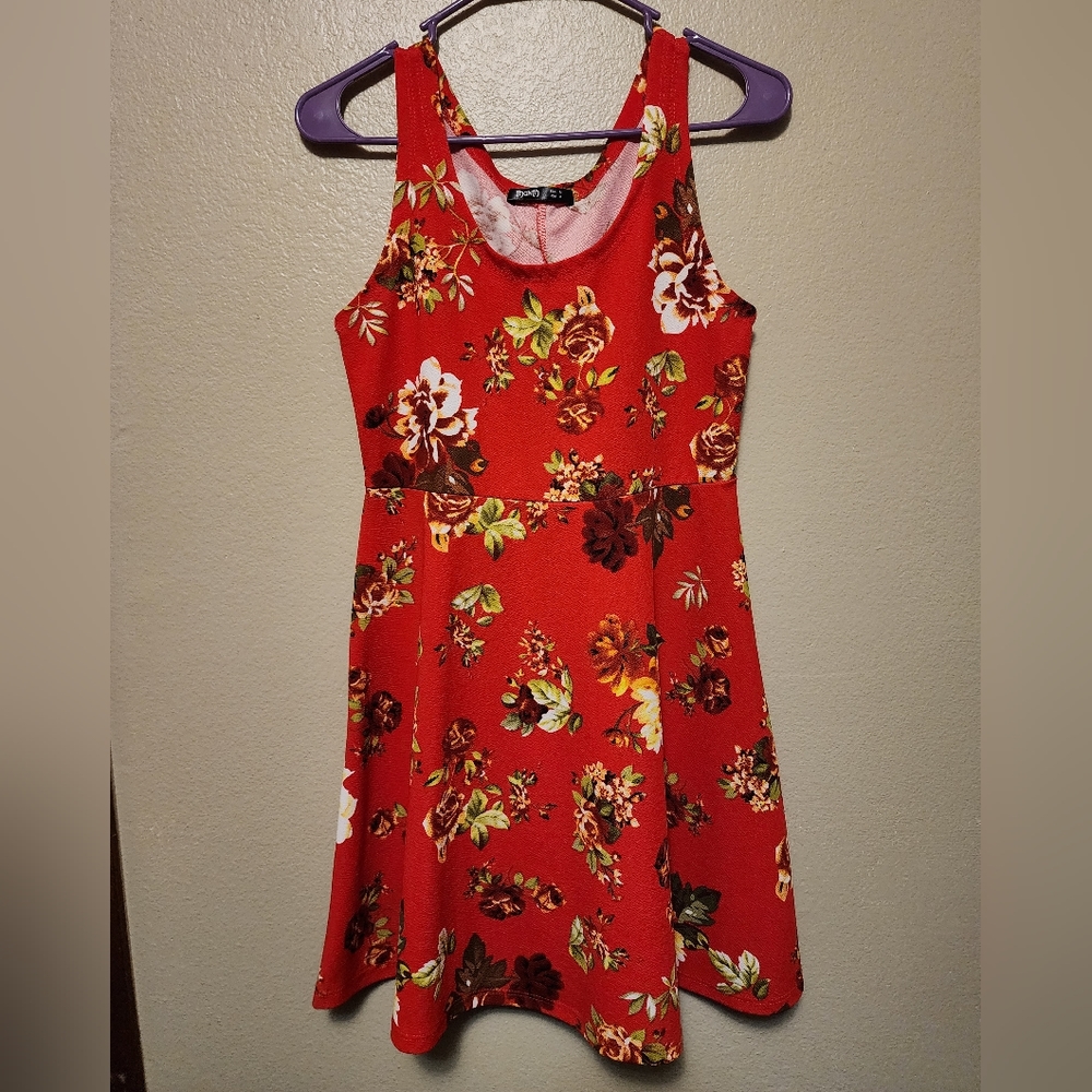 Red Floral Tamk Skater Dress